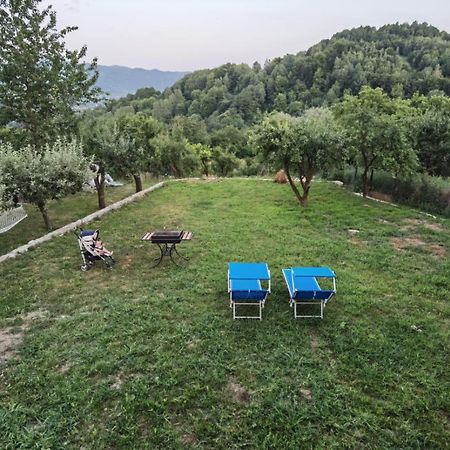 Vila Ella Villa Căpăţîneni-Ungureni Exterior foto