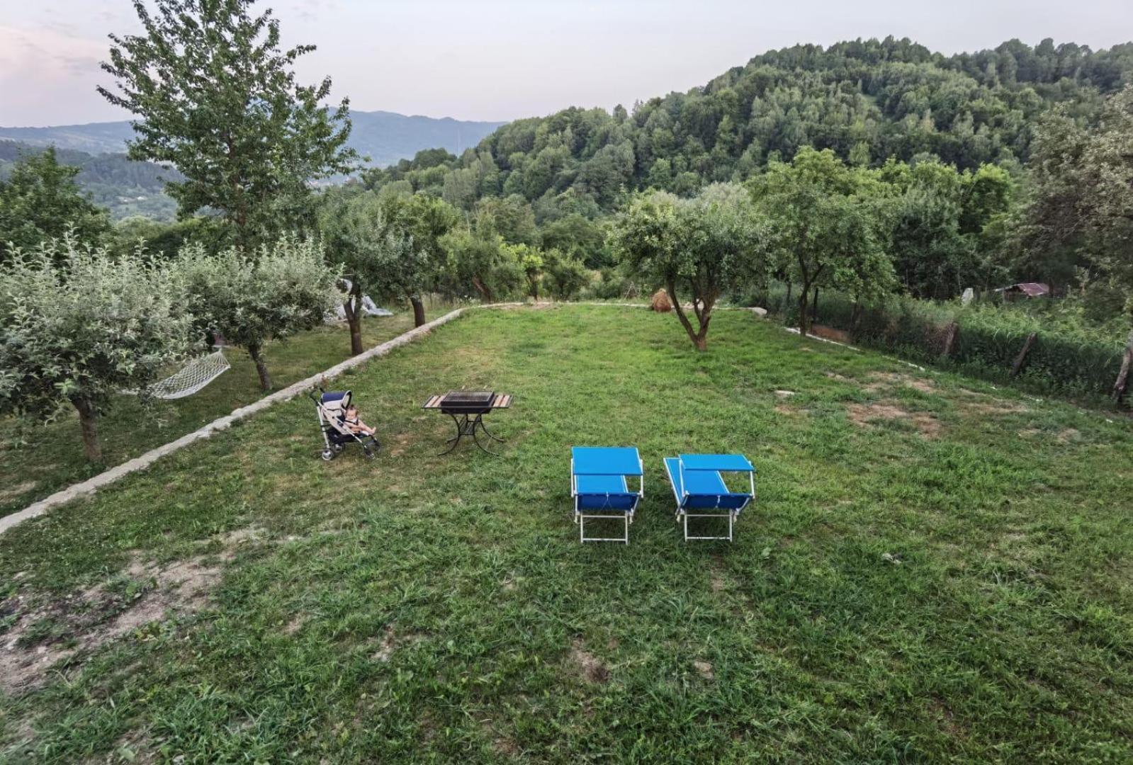 Vila Ella Villa Căpăţîneni-Ungureni Exterior foto