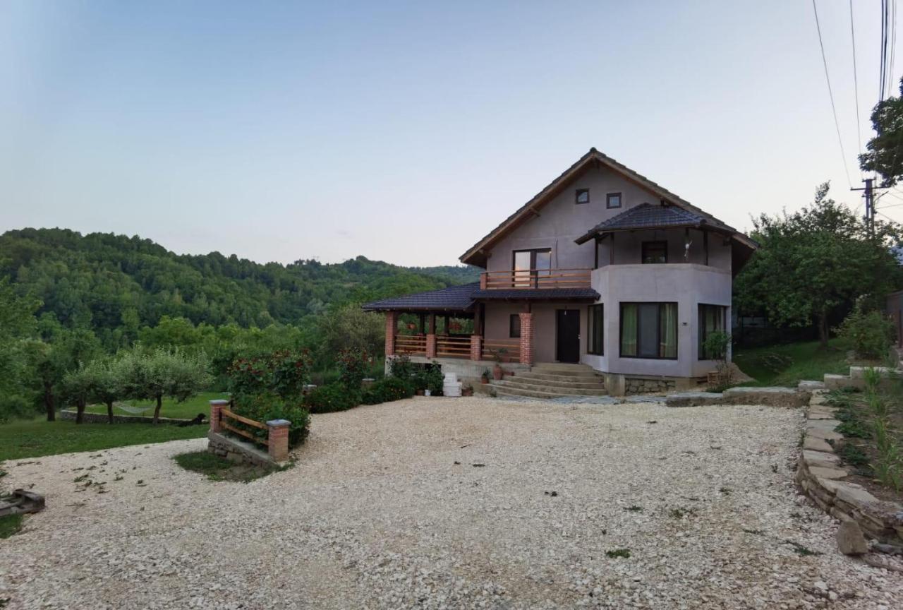 Vila Ella Villa Căpăţîneni-Ungureni Exterior foto